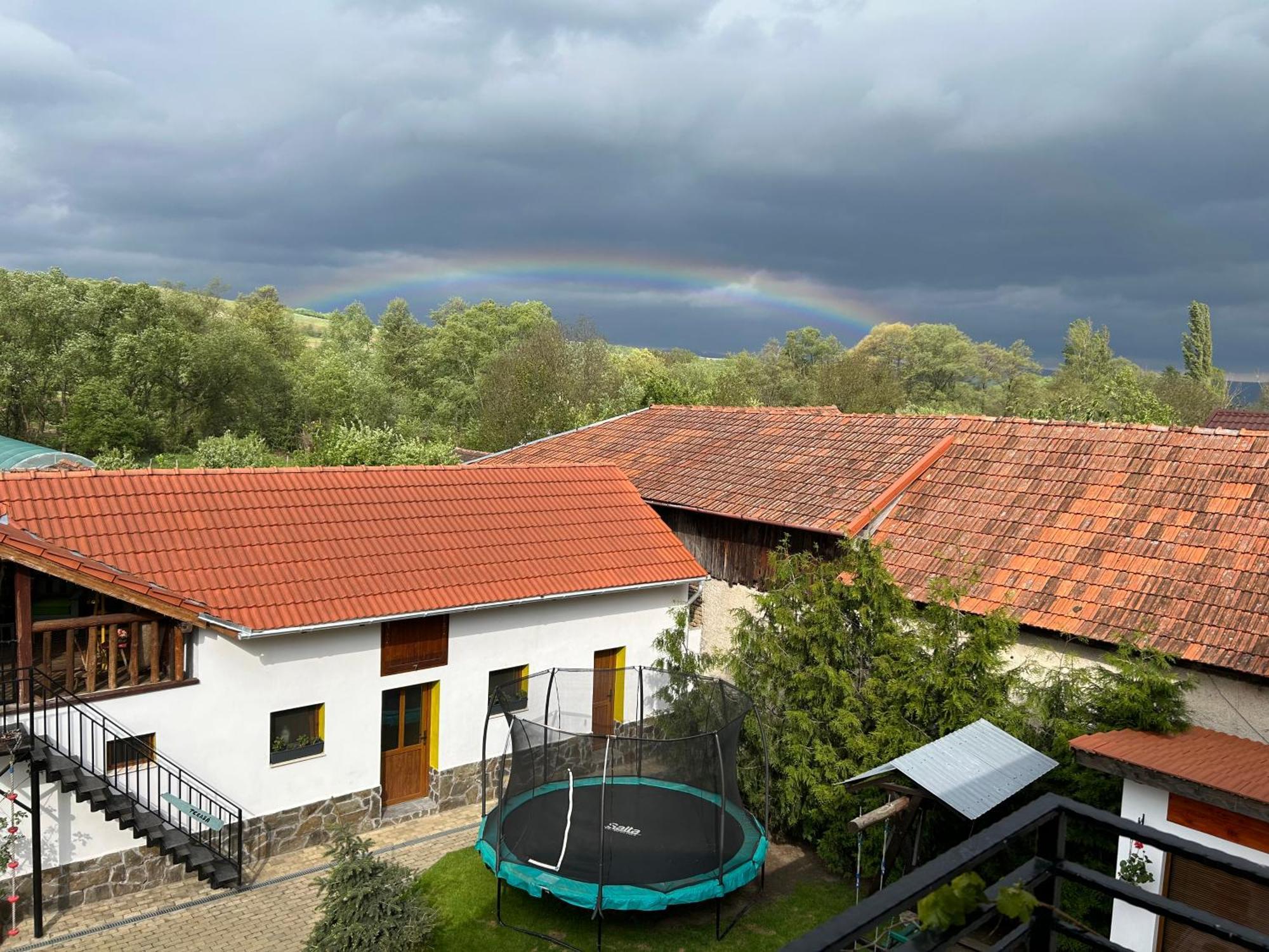 Casa "La Moara Din Gradina" Hotel Eftimie Murgu ภายนอก รูปภาพ