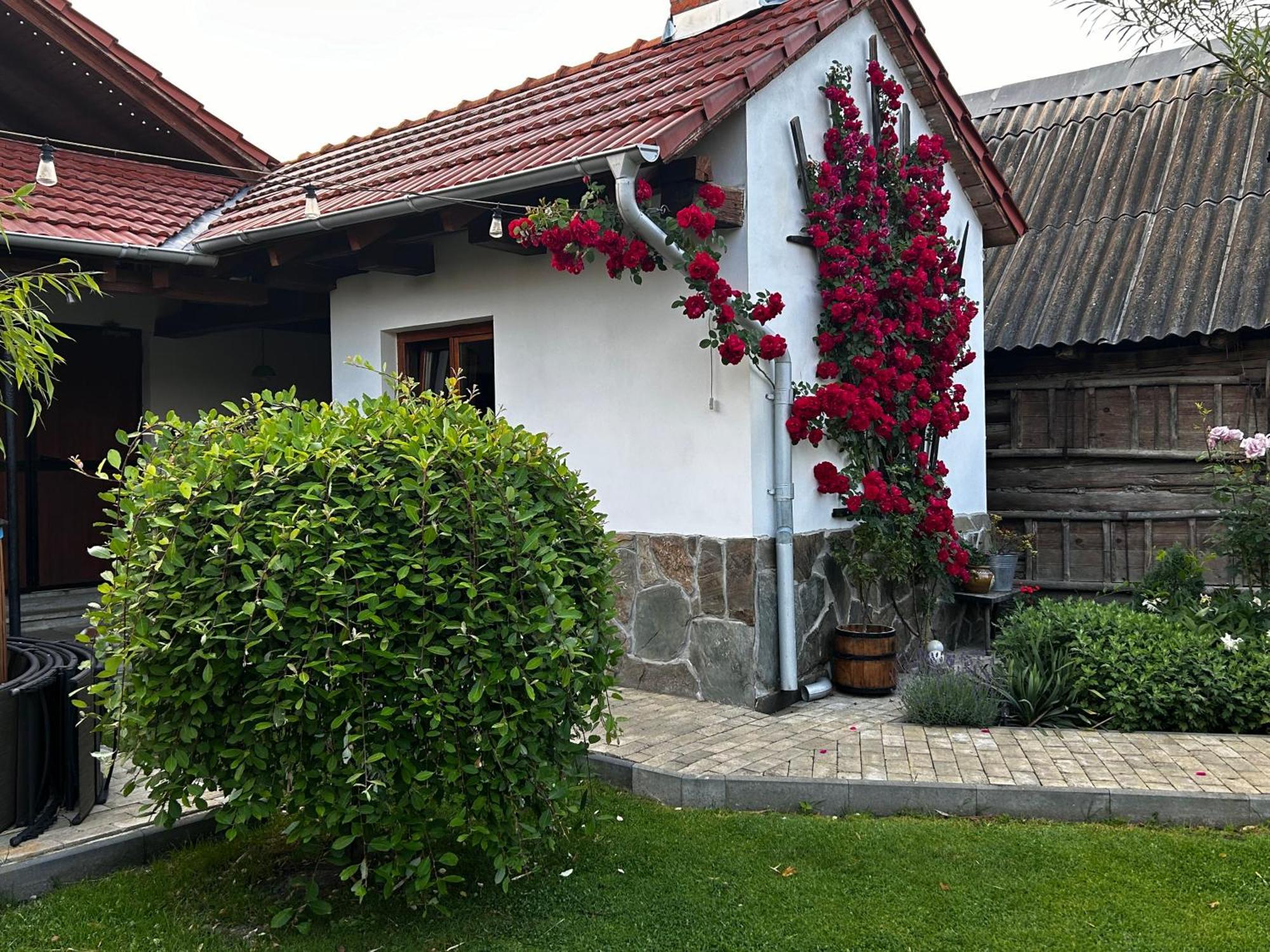 Casa "La Moara Din Gradina" Hotel Eftimie Murgu ภายนอก รูปภาพ